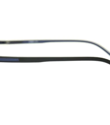 Очки ROLLES 3169 3