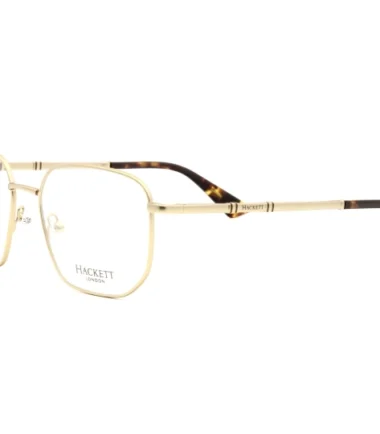 очки HACKETT 1293 400 купить в Экспресс Оптике