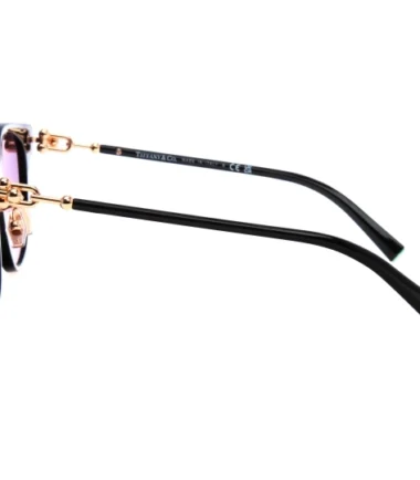 Очки TIFFANY 4223D 80013C (54)