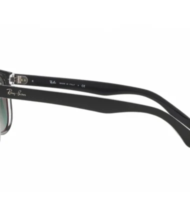 Очки RAY-BAN 4147 603971 (60)