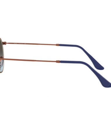 Очки RAY-BAN 3447 900396 (53)