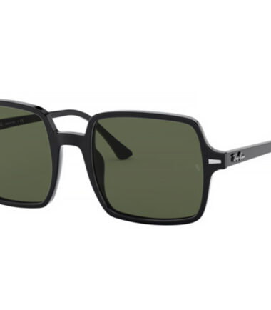 очки RAY-BAN 1973 901/31 (53) купить в Экспресс Оптике