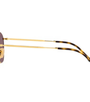 Очки RAY-BAN 3772 001/AF (54)