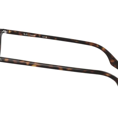 Очки RAY-BAN 2204 902/GJ (54)