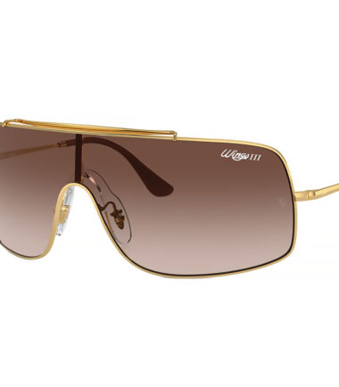 очки RAY-BAN 3897 001/13 (36) купить в Экспресс Оптике