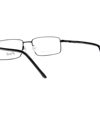 PAVLI 11027 2