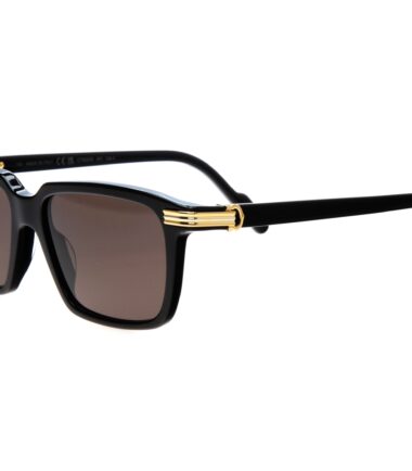очки CARTIER 0220S 001 купить в Экспресс Оптике
