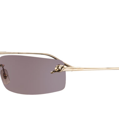 очки CARTIER 0503S 003 купить в Экспресс Оптике
