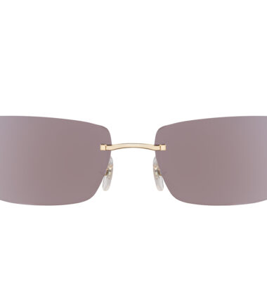Очки CARTIER 0503S 003