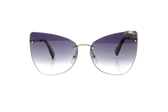 Детские очки LONGCHAMP 119S 035