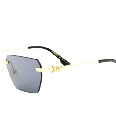 очки DSQUARED D2 0102/S 807 купить в Экспресс Оптике
