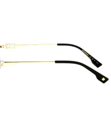 Очки DSQUARED D2 0102/S 807