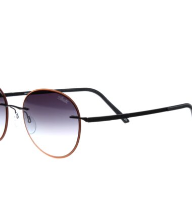 очки SILHOUETTE 8720 6040 купить в Экспресс Оптике