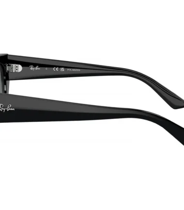 Очки RAY-BAN 4430 667787 (52)