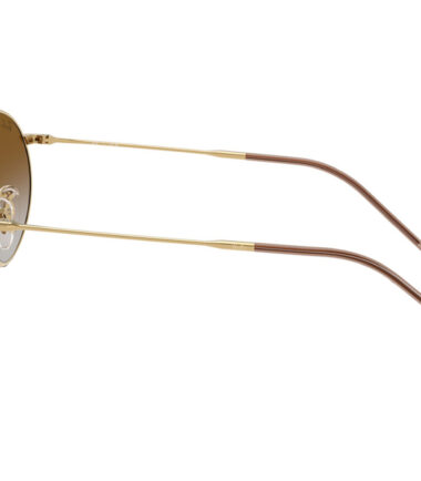 Очки RAY-BAN R0103S 001/CB (53)
