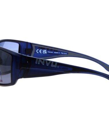 Очки INVU IA22504 C